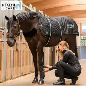 Guêtres de soins TecSupreme Waldhausen Health & Care TECSUPREME 389601 Sellerie Equinoxe Shop Guêtres de soins TecSupreme Waldhausen Health & Care TECSUPREME 389601 Sellerie Equinoxe Shop