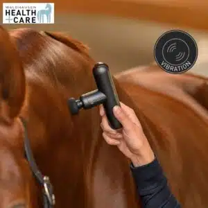 Appareil de massage PocketRelax Waldhausen 5701000 cheval Sellerie Equinoxe Shop Appareil de massage PocketRelax Waldhausen 5701000 cheval Sellerie Equinoxe Shop