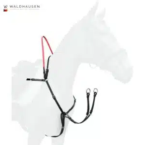 Bricole avec rênes de sécurité Secutrust Waldhausen 8105101 Sellerie Equinoxe Shop Fuveau Bricole avec rênes de sécurité Secutrust Waldhausen 8105101 Sellerie Equinoxe Shop Fuveau