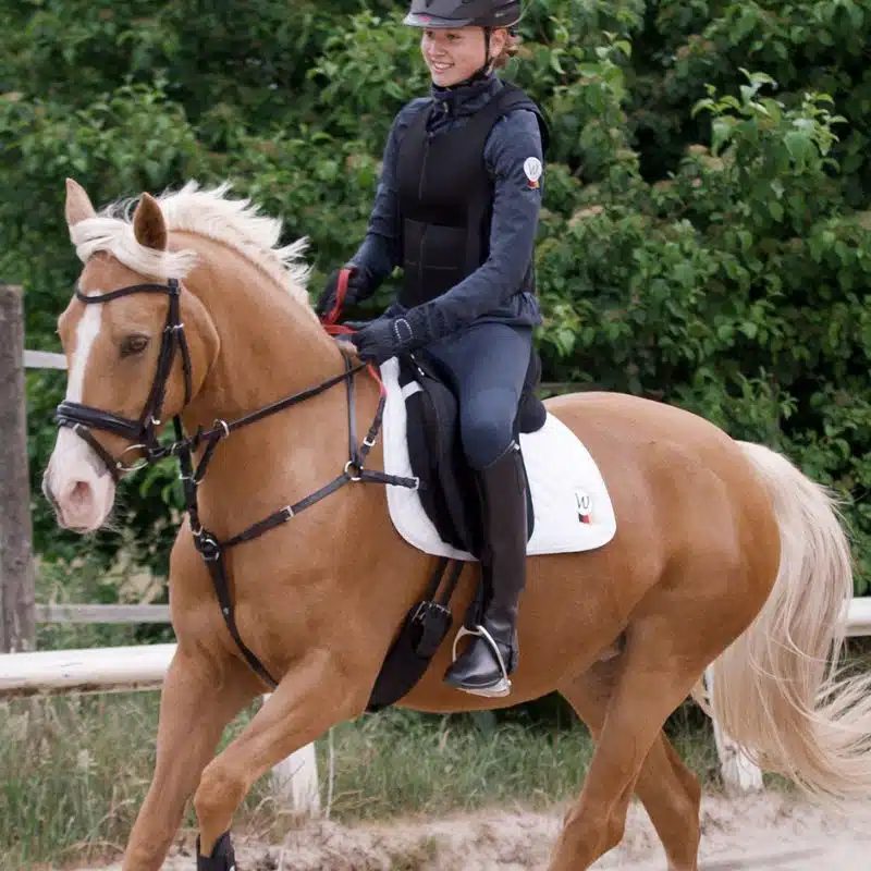 Bricole avec rênes de sécurité Secutrust Waldhausen 8105101 Sellerie Equinoxe Shop