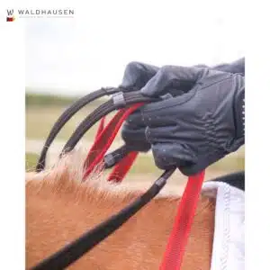 Bricole avec rênes de sécurité Secutrust Waldhausen Sellerie Equinoxe Shop Bricole avec rênes de sécurité Secutrust Waldhausen Sellerie Equinoxe Shop