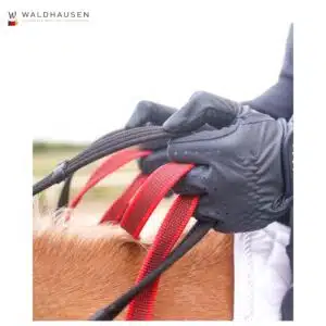 Bricole avec rênes de sécurité Secutrust Waldhausen Sellerie Equinoxe Shop Bricole avec rênes de sécurité Secutrust Waldhausen Sellerie Equinoxe Shop