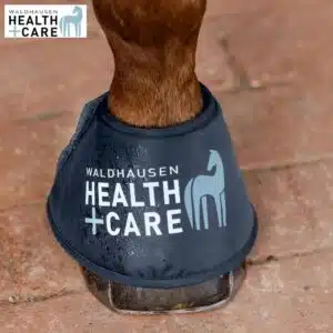 Cloches Water Waldhausen Health + Care 375300 poney cheval Sellerie Equinoxe Shop Cloches Water Waldhausen Health + Care 375300 poney cheval Sellerie Equinoxe Shop