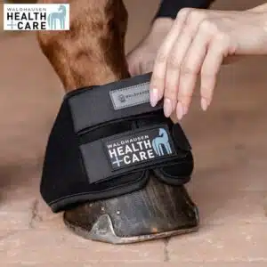 Cloches refroidissantes Waldhausen Health + Care 3753101 Sellerie Equinoxe Shop Fuveau Cloches refroidissantes Waldhausen Health + Care 3753101 Sellerie Equinoxe Shop Fuveau