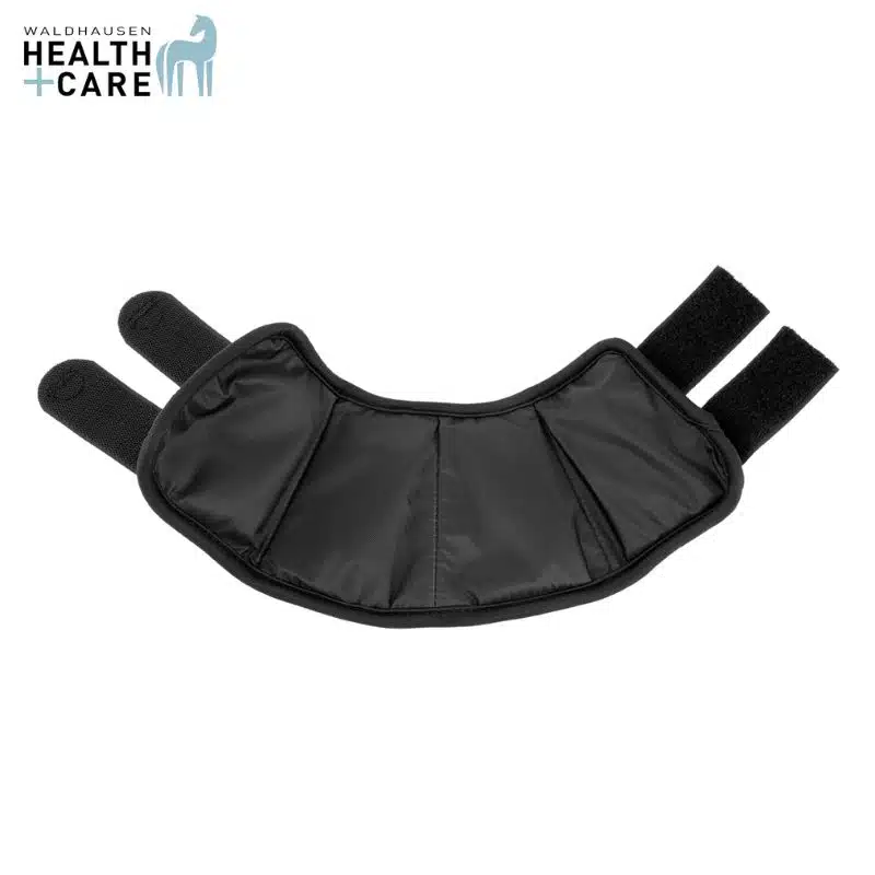 Cloches refroidissantes Waldhausen Health + Care 3753101 Sellerie Equinoxe Shop