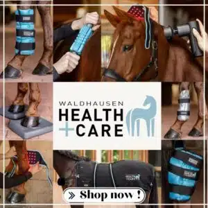 Collection HEALTH AND CARE WALDHAUSEN Sellerie Equinoxe Shop Fuveau printemps été 2026