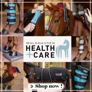 Collection HEALTH AND CARE WALDHAUSEN Sellerie Equinoxe Shop printemps été 2026 Collection HEALTH AND CARE WALDHAUSEN Sellerie Equinoxe Shop printemps été 2026