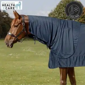 Couvre-cou Ice-Layer Waldhausen Health + Care 6319705 poney cheval Sellerie Equinoxe Shop Couvre-cou Ice-Layer Waldhausen Health + Care 6319705 poney cheval Sellerie Equinoxe Shop