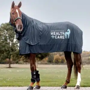 Gamme refroidissante Ice-Layer Waldhausen Health & Care pack de froid Sellerie Equinoxe Shop Gamme refroidissante Ice-Layer Waldhausen Health & Care pack de froid Sellerie Equinoxe Shop