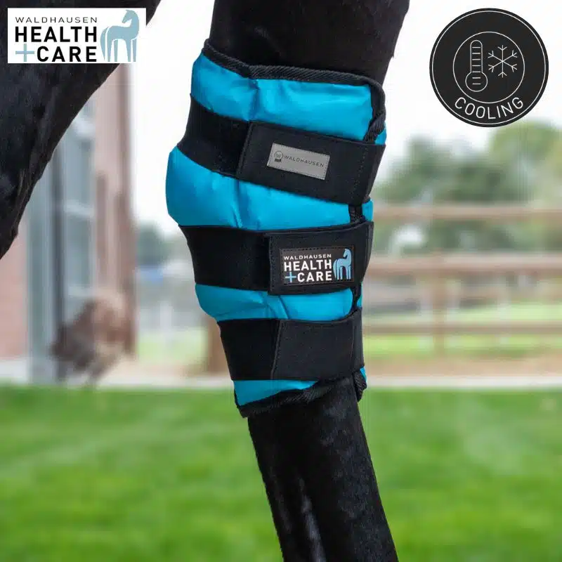 Guetre de froid spéciale jarret Waldhausen Health + Care 3863157 cheval Sellerie Equinoxe Shop