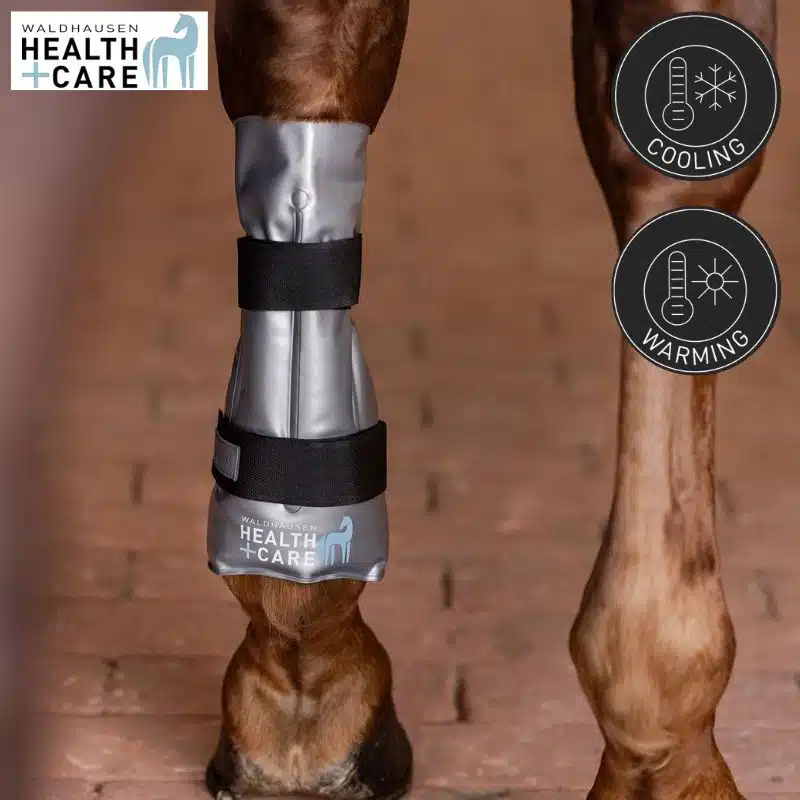 Guetre de soin Hot + Cold Waldhausen Health + Care froid chaud 125405 cheval Sellerie Equinoxe Shop