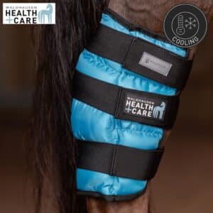Guetre refroidissante spéciale jarret Waldhausen Health + Care 3863157 cheval Sellerie Equinoxe Shop