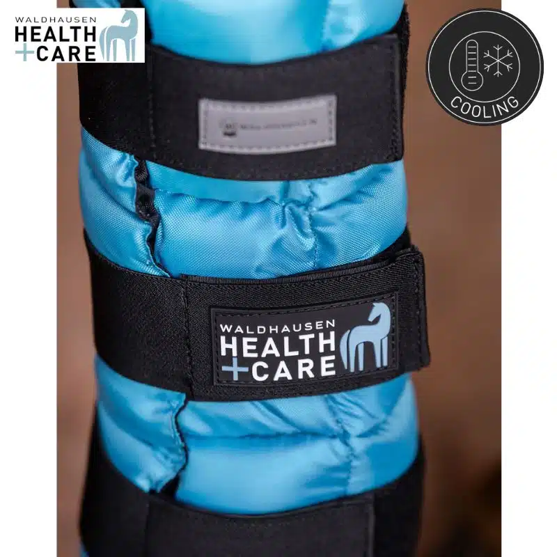 Guetre refroidissante unitaire Waldhausen Health + Care 3863156 cheval Sellerie Equinoxe Shop