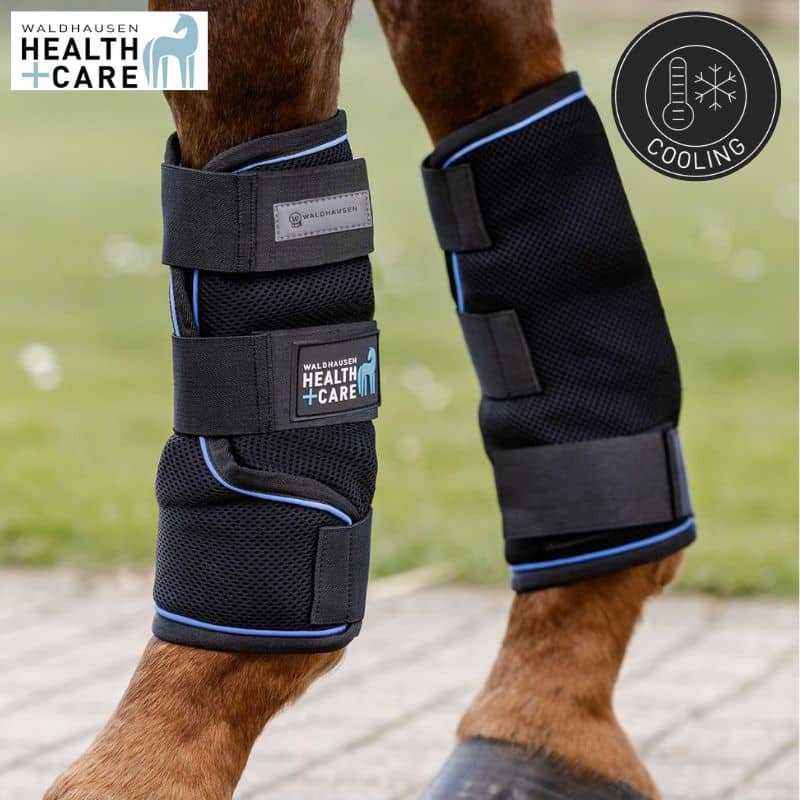 Guêtres de froid Ice-Layer Waldhausen Health + Care 3753201 Sellerie Equinoxe Shop