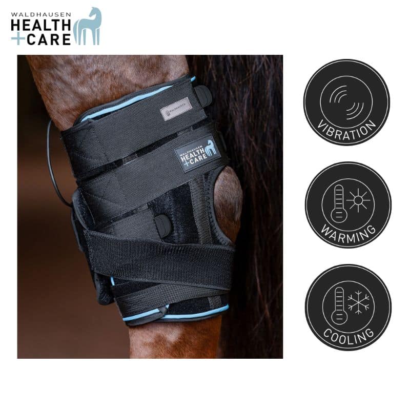 Guêtres de soin spécial jarret cheval et poney Waldhausen Health & Care 386701 Sellerie Equinoxe Shop