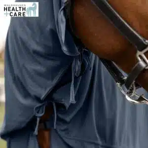 Guêtres refroidissantes à mouiller Ice-Layer Waldhausen Health + Care 3753201 Sellerie Equinoxe Shop