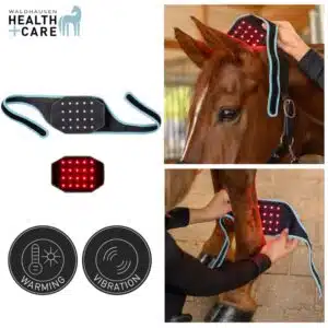 INFRARED FLEXPAD cheval et poney Waldhausen Health & Care 388001 Sellerie Equinoxe Shop INFRARED FLEXPAD cheval et poney Waldhausen Health & Care 388001 Sellerie Equinoxe Shop