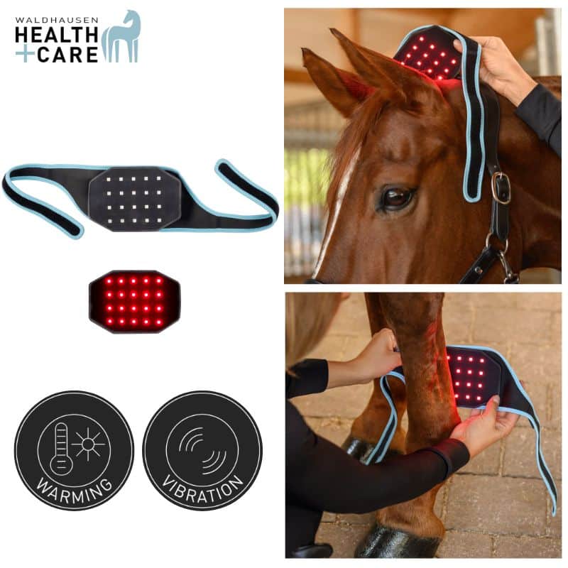 INFRARED FLEXPAD cheval et poney Waldhausen Health & Care 388001 Sellerie Equinoxe Shop