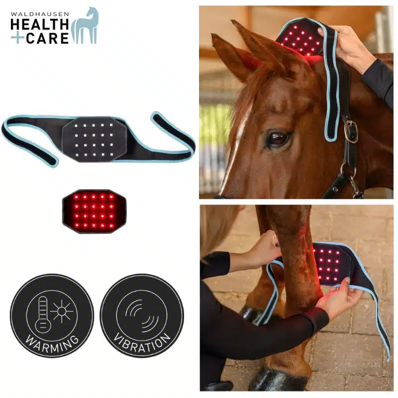 INFRARED FLEXPAD cheval et poney Waldhausen Health & Care 388001 Sellerie Equinoxe Shop