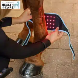 INFRARED FLEXPAD cheval et poney Waldhausen Health & Care 388001 soin des membres Sellerie Equinoxe Shop INFRARED FLEXPAD cheval et poney Waldhausen Health & Care 388001 soin des membres Sellerie Equinoxe Shop