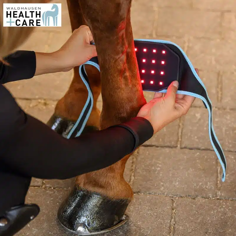 INFRARED FLEXPAD cheval et poney Waldhausen Health & Care 388001 soin des membres Sellerie Equinoxe Shop
