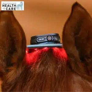 INFRARED FLEXPAD cheval et poney Waldhausen Health & Care 388001 soin infrarouge Sellerie Equinoxe Shop INFRARED FLEXPAD cheval et poney Waldhausen Health & Care 388001 soin infrarouge Sellerie Equinoxe Shop