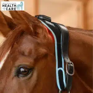 INFRARED FLEXPAD cheval et poney Waldhausen Health & Care 388001 soin nuque cheval Sellerie Equinoxe Shop INFRARED FLEXPAD cheval et poney Waldhausen Health & Care 388001 soin nuque cheval Sellerie Equinoxe Shop