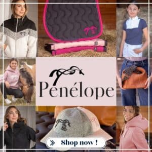 Nouveautés Printemps Eté 2026 Pénélope Collection équipement cheval et cavalier Sellerie Équinoxe Shop Fuveau Nouveautés Printemps Eté 2026 Pénélope Collection équipement cheval et cavalier Sellerie Équinoxe Shop Fuveau