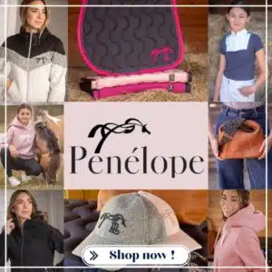Nouveautés Printemps Eté 2026 Pénélope Collection équipement cheval et cavalier Sellerie Équinoxe Shop Fuveau Nouveautés Printemps Eté 2026 Pénélope Collection équipement cheval et cavalier Sellerie Équinoxe Shop Fuveau