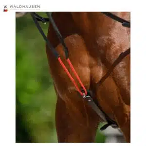 Rênes triangulaires W-Train Waldhausen Sellerie Equinoxe Shop Rênes triangulaires W-Train Waldhausen Sellerie Equinoxe Shop