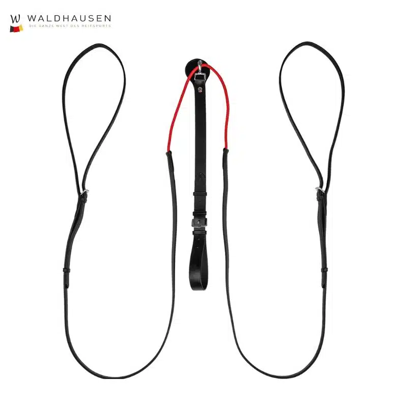 Rênes triangulaires W-Train Waldhausen Sellerie Equinoxe Shop Fuveau
