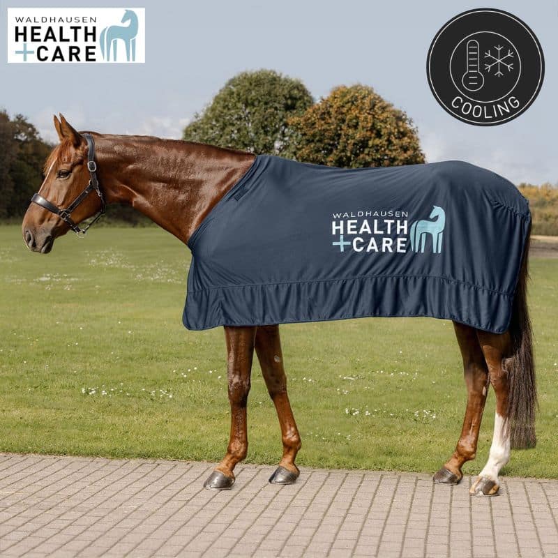 chemise refroidissante Ice-Layer Waldhausen Health + Care 6319705 poney cheval Sellerie Equinoxe Shop Fuveau