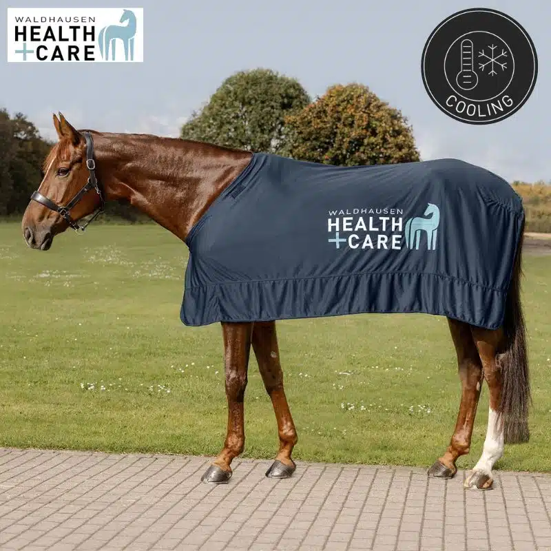 chemise refroidissante Ice-Layer Waldhausen Health + Care 6319705 poney cheval Sellerie Equinoxe Shop Fuveau