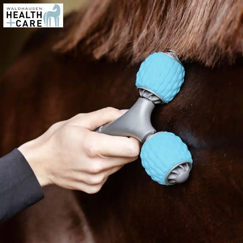 rouleau de massage Comfort Creator Health + Care Waldhausen 5700800 Sellerie Equinoxe Shop Fuveau