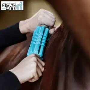 rouleau de massage Faszien Fit Health + Care Waldhausen 5700700 cheval Sellerie Equinoxe Shop Fuveau
