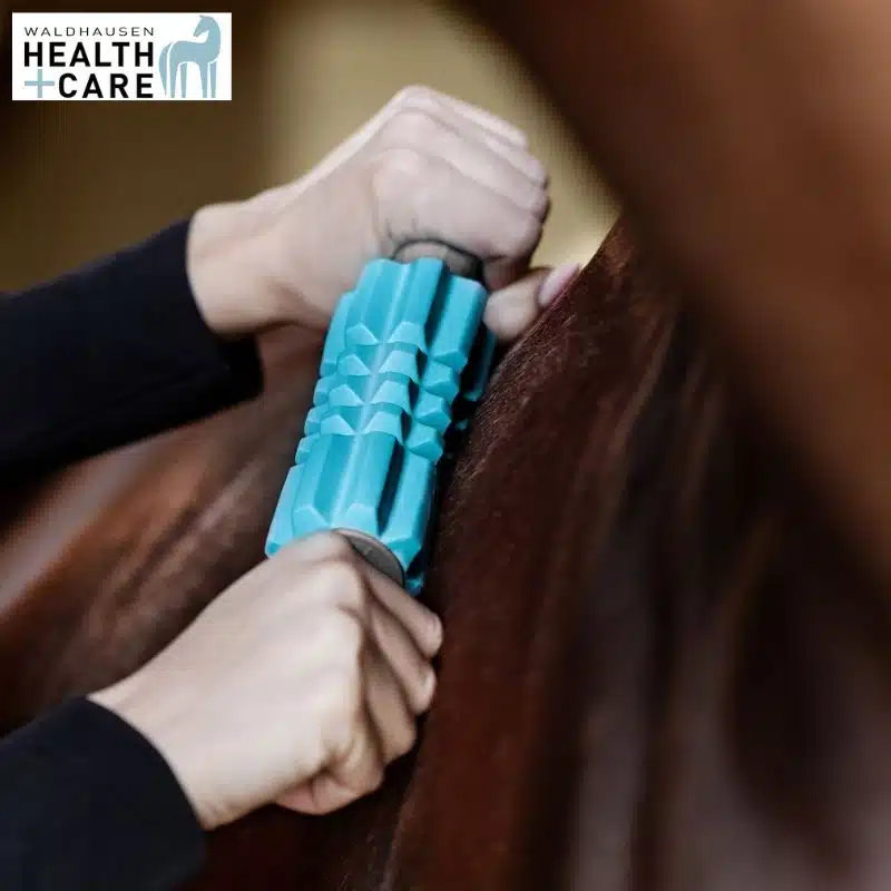 rouleau de massage Faszien Fit Health + Care Waldhausen 5700700 cheval Sellerie Equinoxe Shop Fuveau