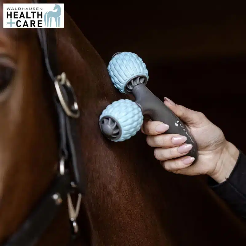 rouleau de massage pour chevaux Comfort Creator Health + Care Waldhausen 5700800 Sellerie Equinoxe Shop Fuveau