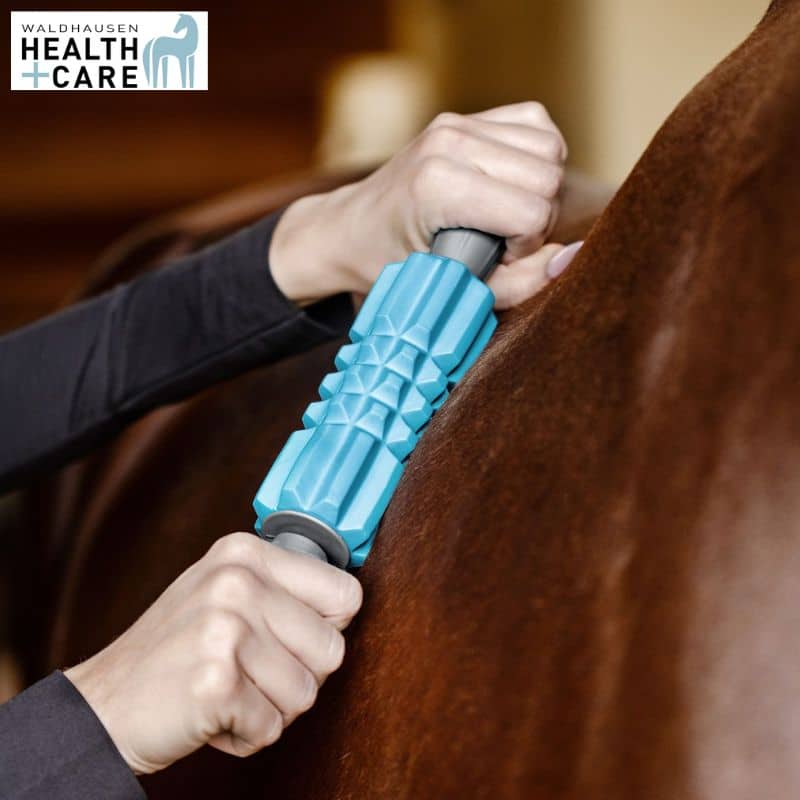 rouleau de massage pour chevaux Faszien Fit Health + Care Waldhausen 5700700 Sellerie Equinoxe Shop Fuveau
