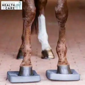 semelles Health + Care Balance Waldhausen 6319610 proprioception cheval Sellerie Equinoxe Shop Fuveau semelles Health + Care Balance Waldhausen 6319610 proprioception cheval Sellerie Equinoxe Shop Fuveau
