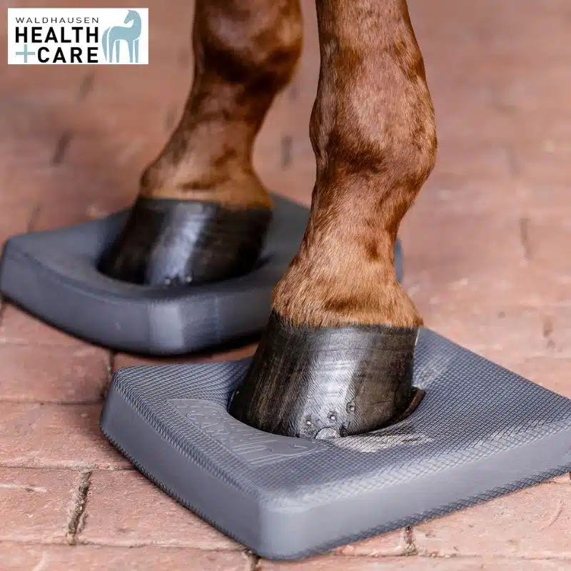 semelles Balance Health + Care Balance Waldhausen 6319610 proprioception cheval Sellerie Equinoxe Shop