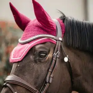 Bonnet Wellington Velvet fuchsia Kentucky 42626-16 Sellerie Equinoxe Fuveau