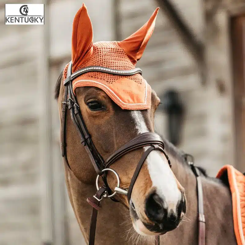 Bonnet Wellington Velvet orange Kentucky 42626-45 Sellerie Equinoxe Fuveau
