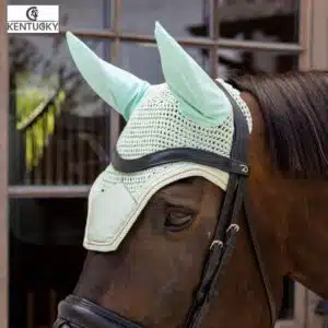 Bonnet Wellington Velvet vert menthe Kentucky 42626-64 Sellerie Equinoxe Fuveau