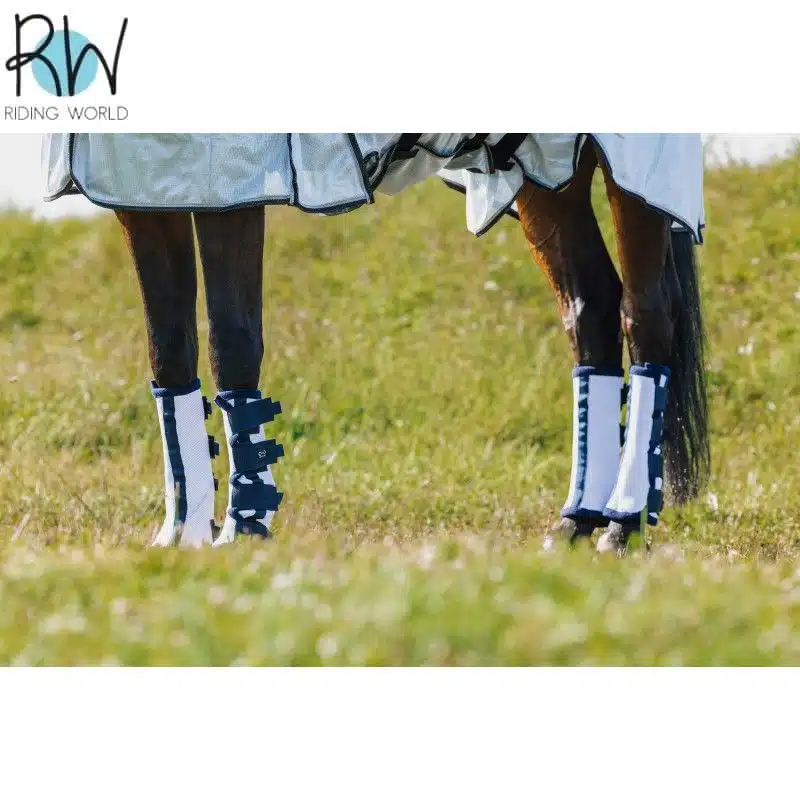 Guêtres anti-mouches Riding World antérieurs et postérieurs 530099 Sellerie Equinoxe Shop Fuveau Guêtres anti-mouches Riding World antérieurs et postérieurs 530099 Sellerie Equinoxe Shop Fuveau