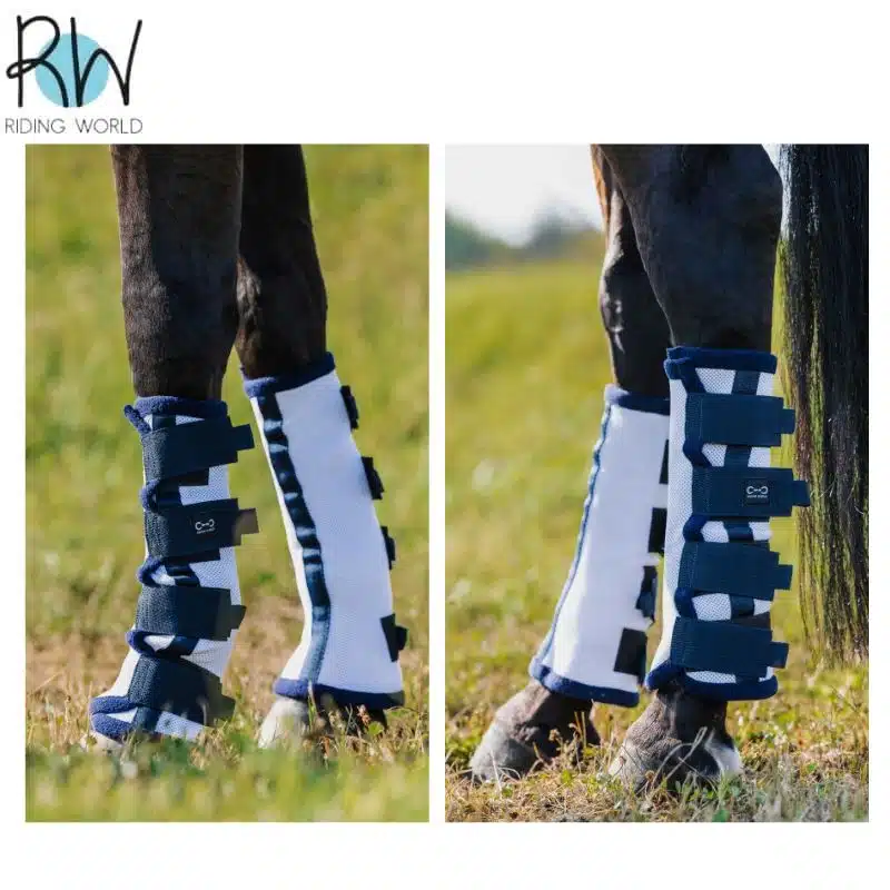 Guêtres anti-mouches Riding World lot de 4 cheval poney 530099 Sellerie Equinoxe Shop Fuveau