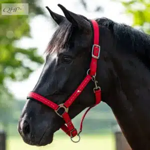 Licol Oakleigh rouge COLLECTION SUNSET RED reference 1214 QHP SS26 Sellerie Equinoxe Shop Fuveau Licol Oakleigh rouge COLLECTION SUNSET RED reference 1214 QHP SS26 Sellerie Equinoxe Shop Fuveau