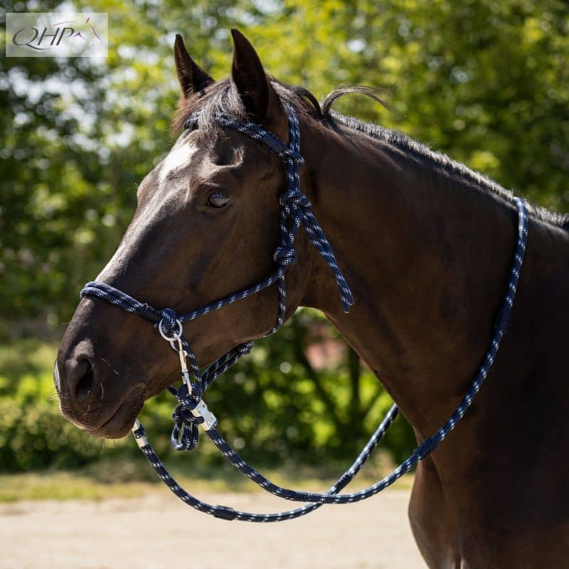 Licol éthologique avec rênes Aubree COLLECTION MISTY BLUE reference 1215 QHP SS26 Sellerie Equinoxe Shop Fuveau