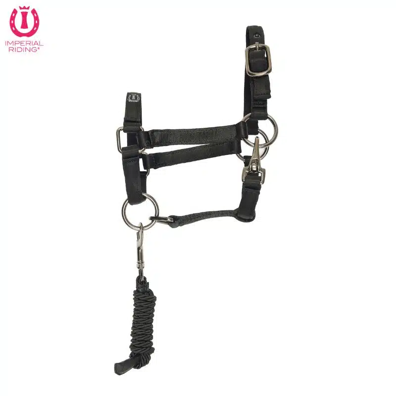 Licol pour Hobby Horse IRHFree Spirit Imperial Riding KL10125006 noir Sellerie Equinoxe Shop Fuveau Licol pour Hobby Horse IRHFree Spirit Imperial Riding KL10125006 noir Sellerie Equinoxe Shop Fuveau