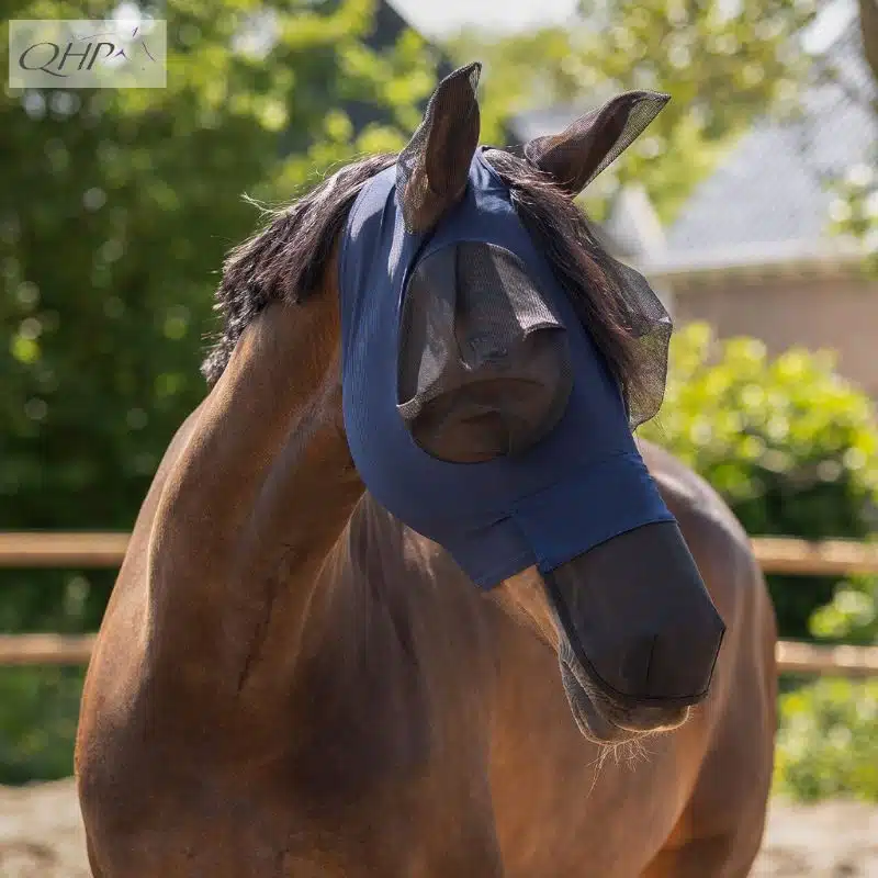 Masque à mouches Super bug avec protection de nez QHP Collection SS26 5681 marine Sellerie Equinoxe Shop Fuveau