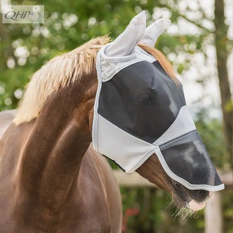 Masque anti-mouche Solaire QHP Sellerie Equinoxe Shop Fuveau